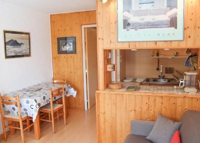 Avec Balcon Proche Des Pistes, Animaux Admis - Fr-1-165a-204 Appartement *