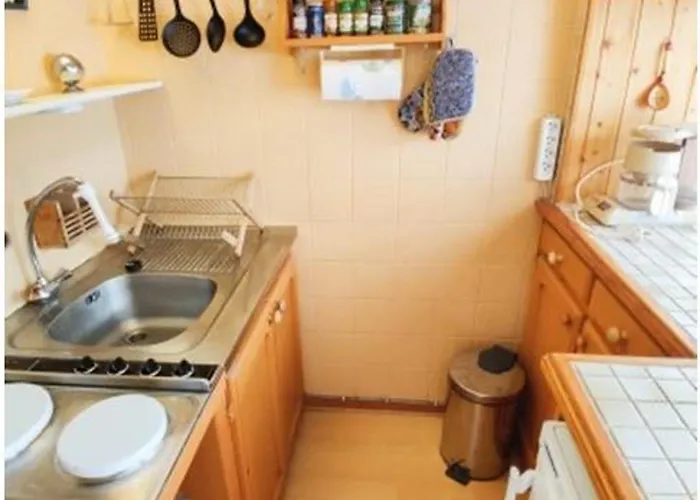 Avec Balcon Proche Des Pistes, Animaux Admis - Fr-1-165a-204