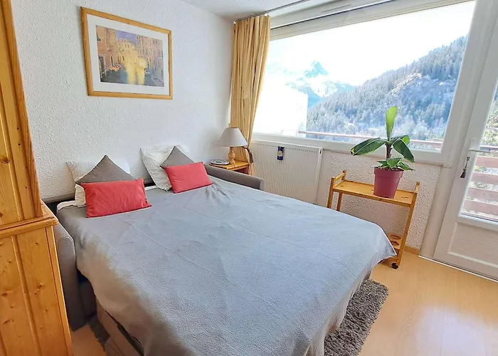 Avec Balcon Proche Des Pistes, Animaux Admis - Fr-1-165a-204